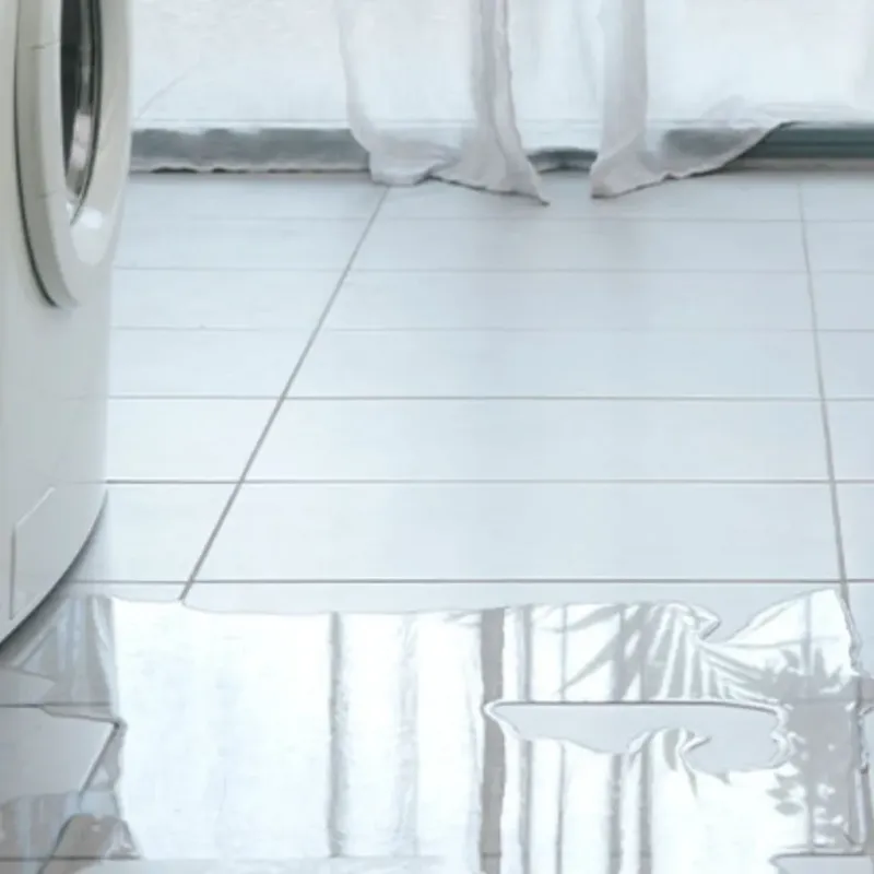 Appliance Leak Cleanup in Mathews, LA