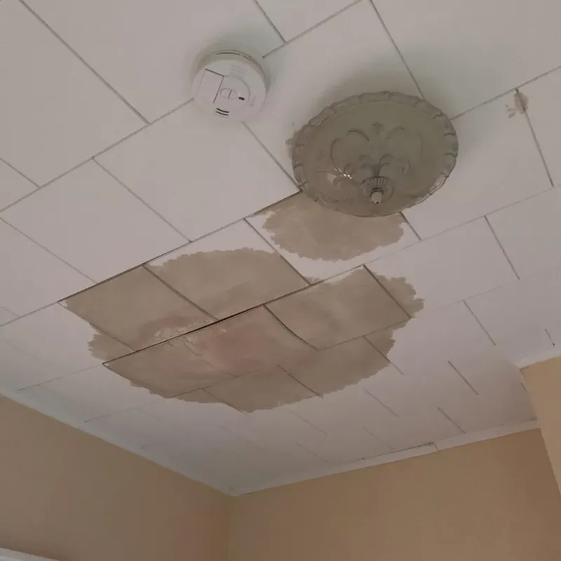 Ceiling Water Damage Repair in Mathews, LA